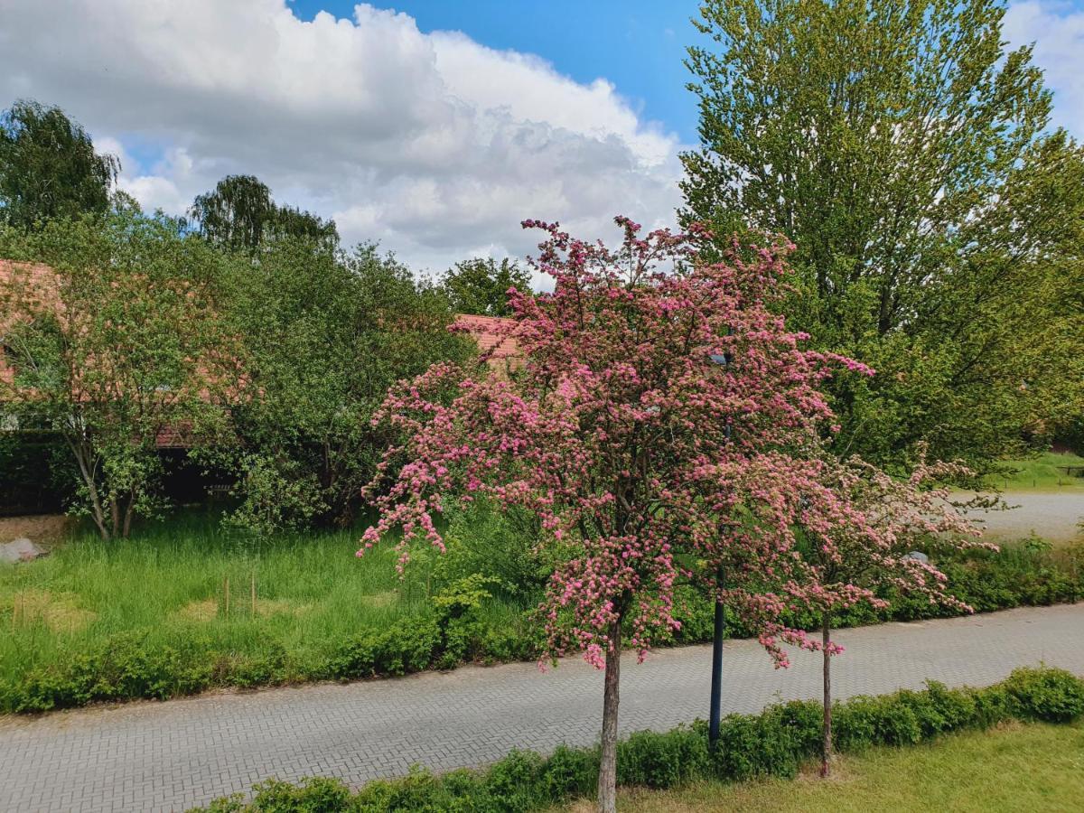 Willa Ferienhaus Hase Burg  Zewnętrze zdjęcie