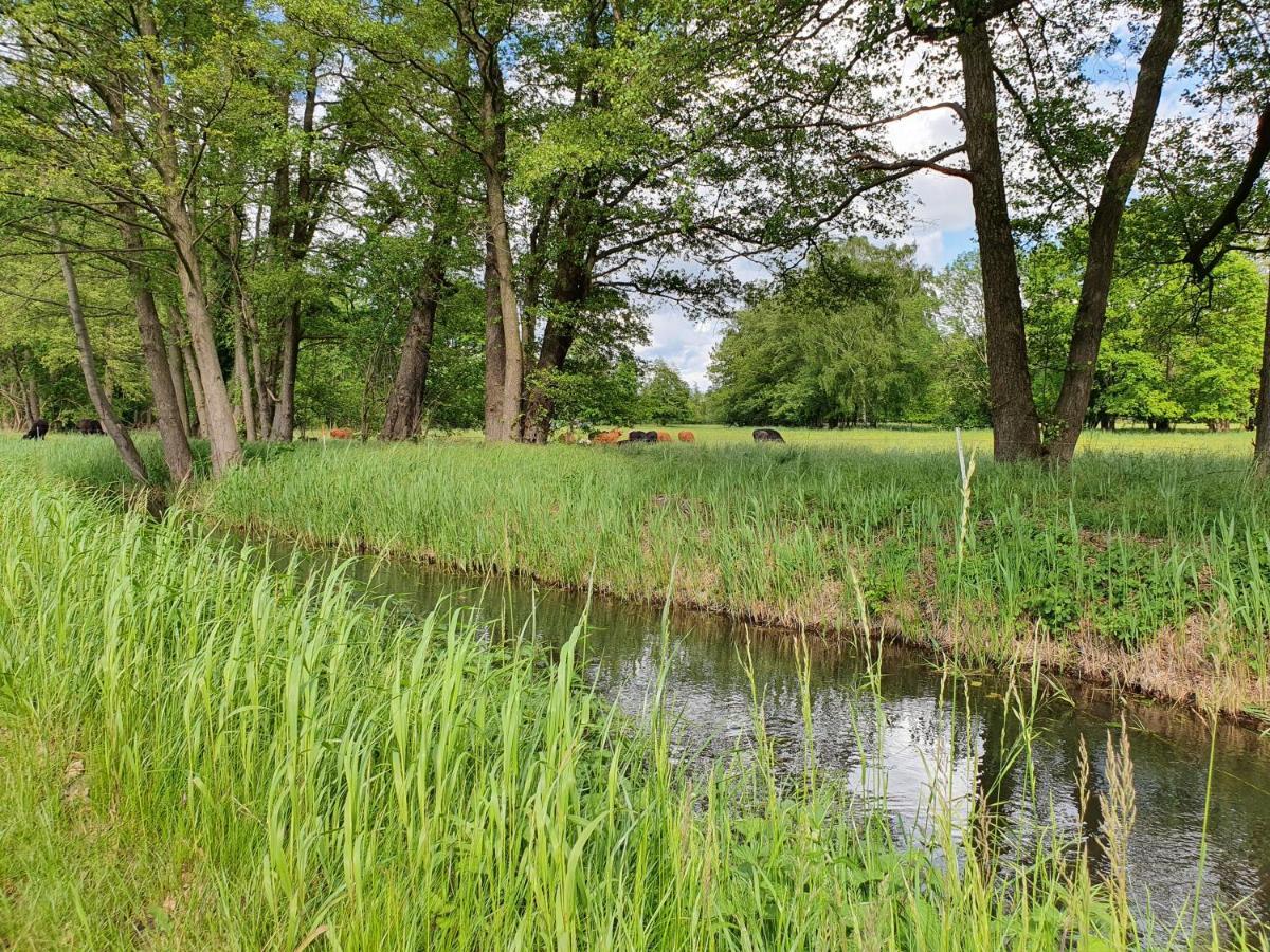 Willa Ferienhaus Hase Burg  Zewnętrze zdjęcie